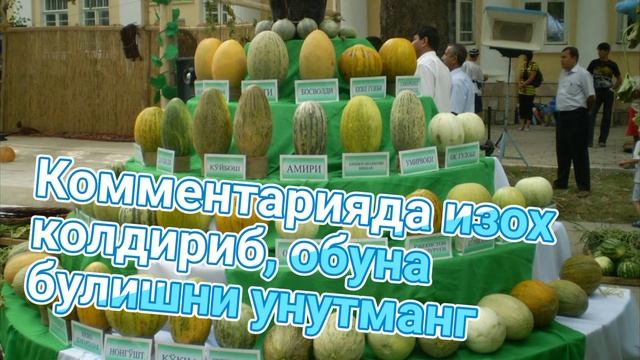 Qovunning xususiyatlari_ Ковуннинг хусусиятлари.