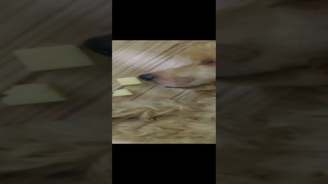1000018666.mp4