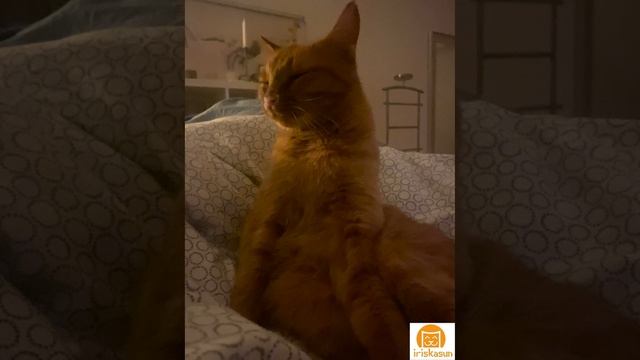 Это что за принцесса?😅