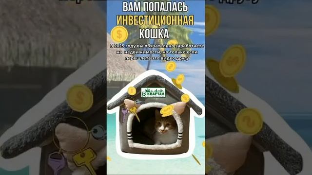 Вам попалась