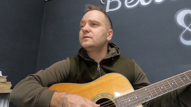 Песня под гитару со смыслом - Снегири - (кавер)