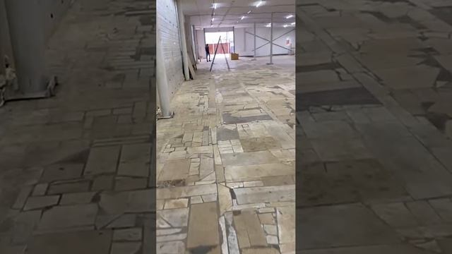1000202702.mp4