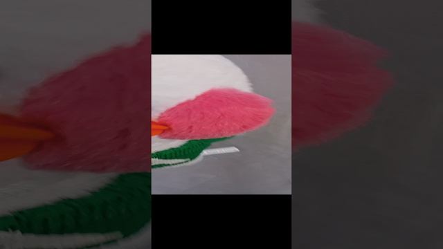 1000004623.mp4