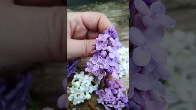 YouCut_20241201_142335670.mp4