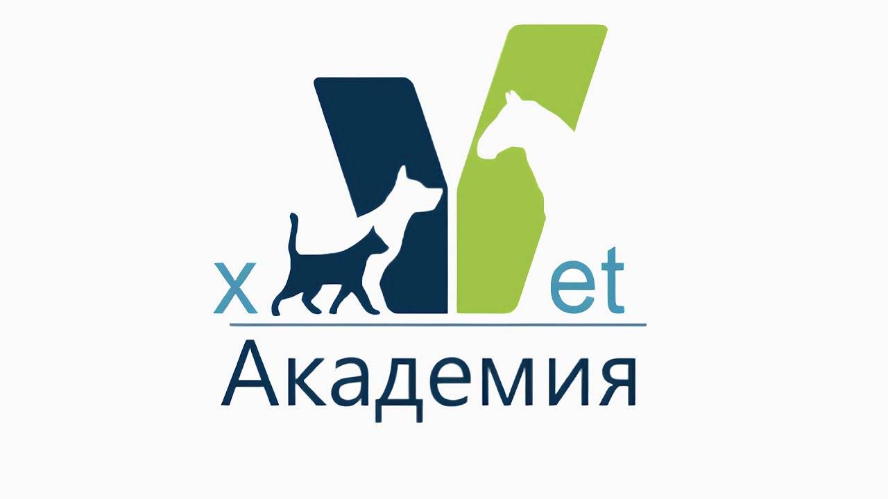 Академия xVet