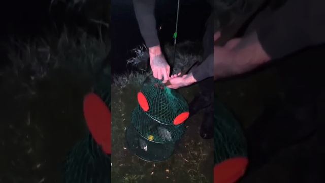 хорошо клевало