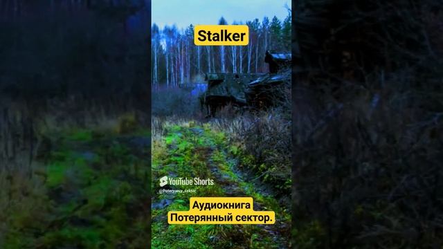 Книга Сталкер Потерянный сектор stalker
