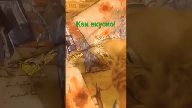 Корм "PURINA ONE" Есть разные для кастрированых и стерелезлваных кошек, для обычных котов.