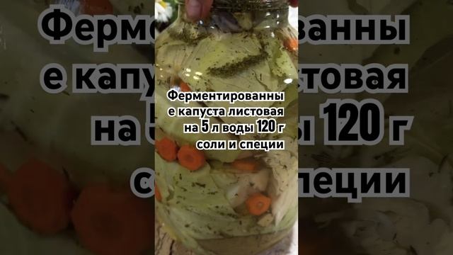 Квашеная капуста. #Шорц #ShortsВидео #Еда #Здоровья #Пп #Вкусно #ЗаготовкаНаЗиму #Капуста #ЕдемДома