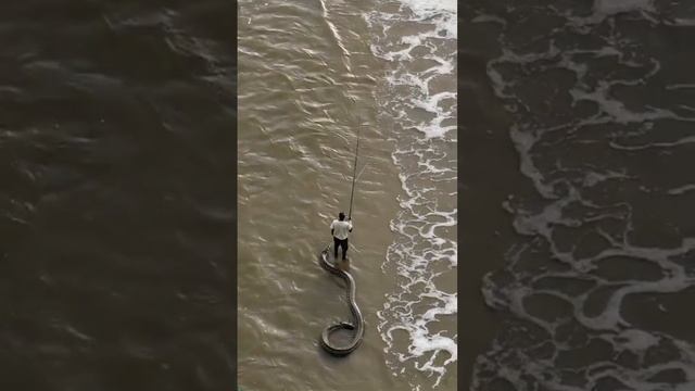 Страшные существа которых выловили из моря