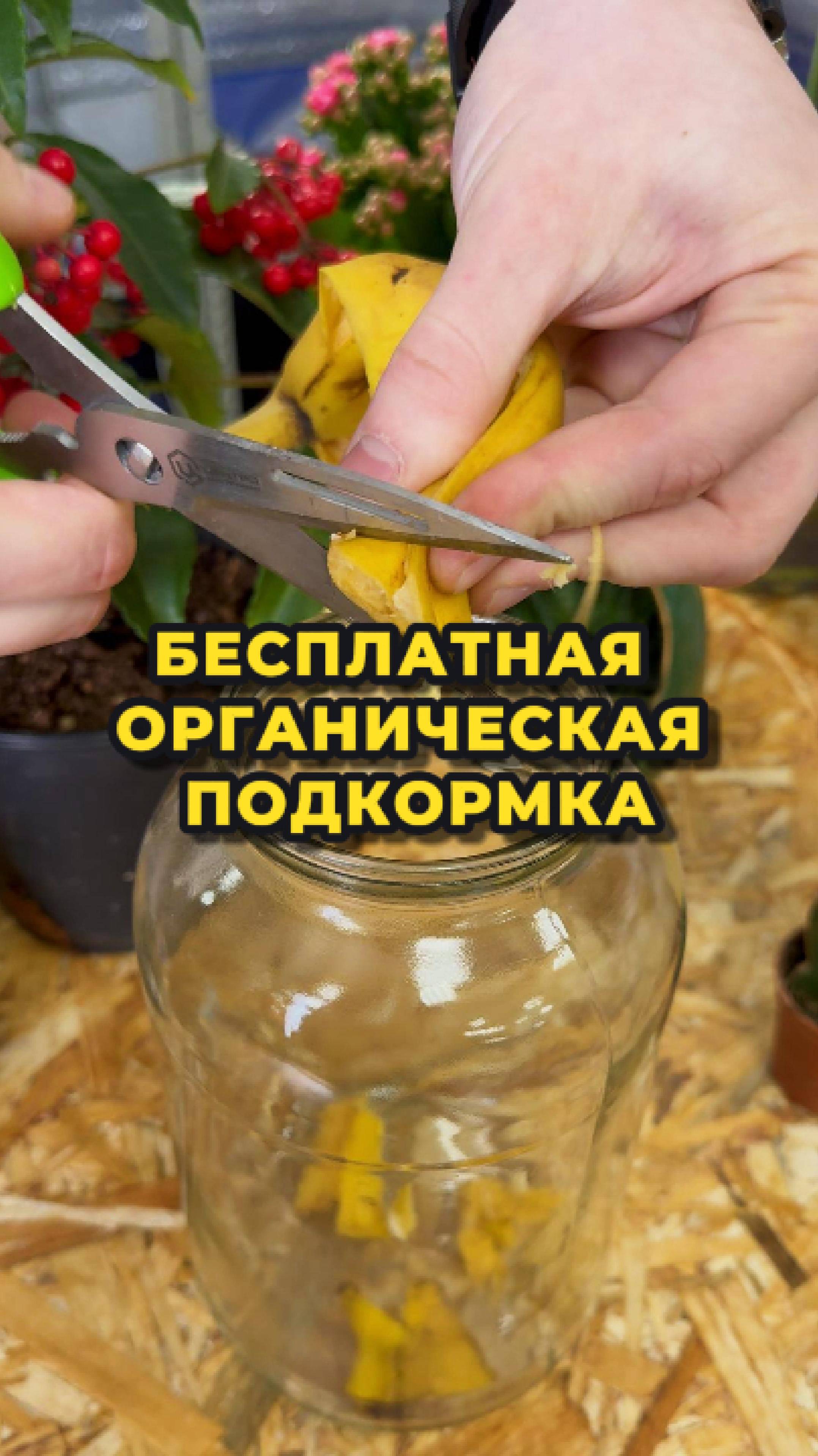 Бесплатная органическая подкормка