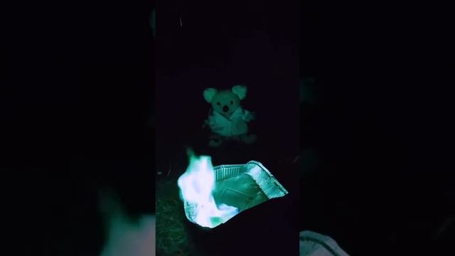 Burning copper (II) chloride dissolved in methanol