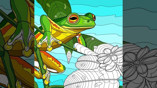 African Green Frog 🐸 🏞️ / TKA
