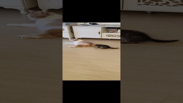 1000058195.mp4