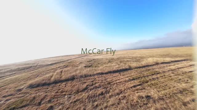 Молодые таланты в FPV