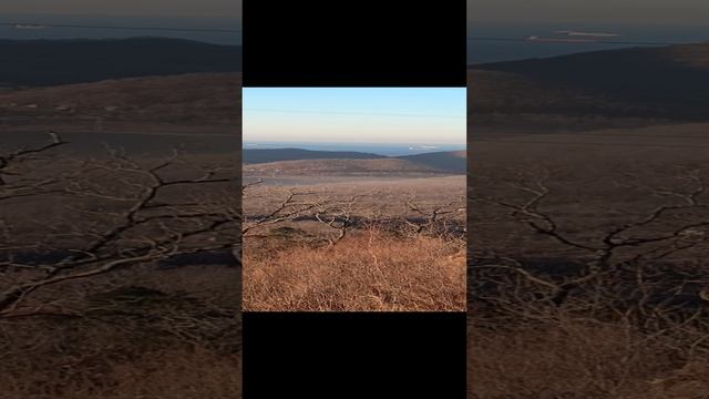 VID_20241119_085418