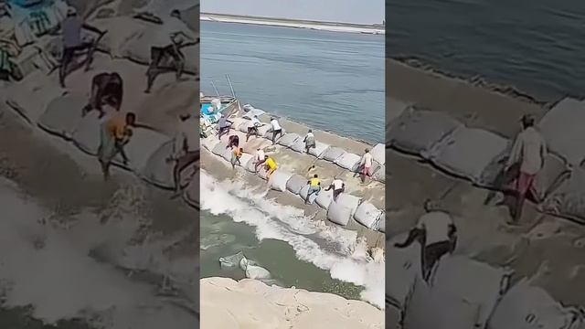 VID_20241202_160204_729.mp4