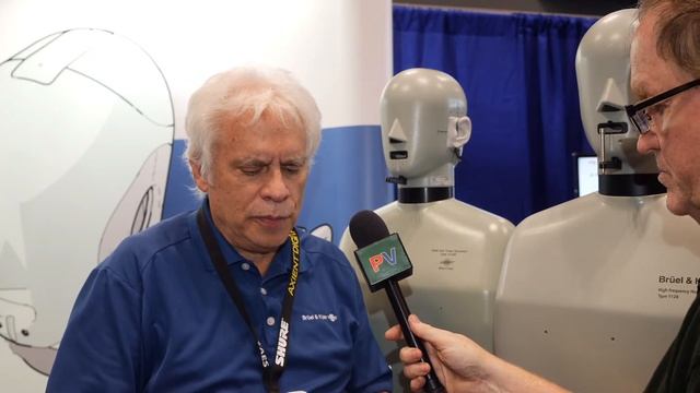 Bruel&Kjaer Head and Torso Simulator, Type 5138