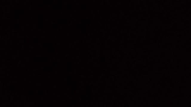VID_20241202_144004.mp4