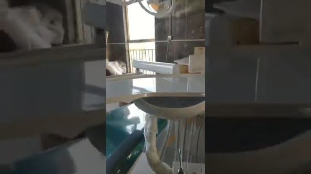 Simple Dental Chair with halogen lamp and basic function