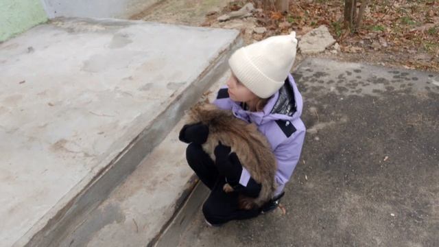 Настя и котик.