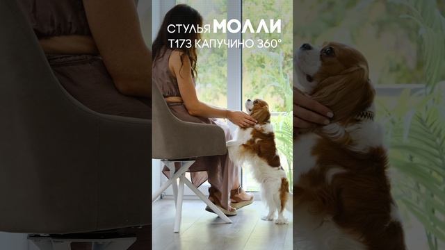 Стул Молли с подлокотниками, удобный, красивый и стильный! #столыстульялофт #купитьст