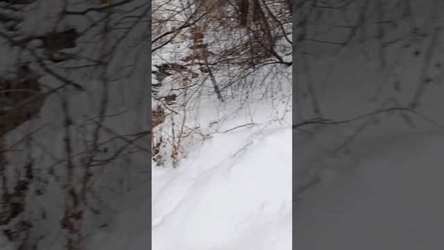 ручей
