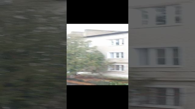 Рыльский двор Курская область. 
2024.19.11.