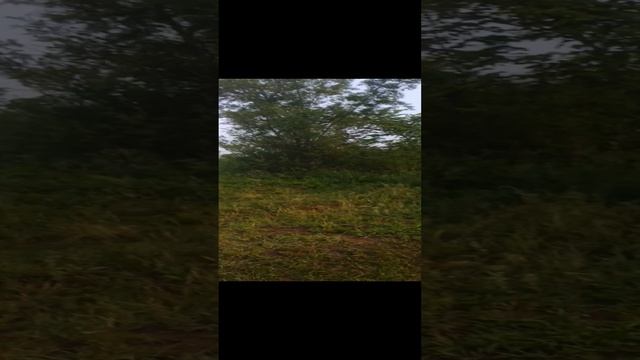 Двойное солнце