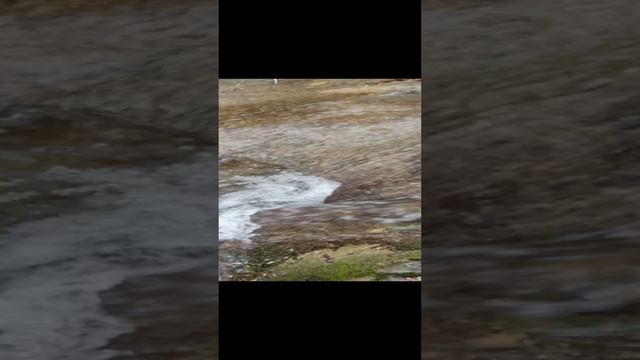 05 11.11.2024 10-33 30s