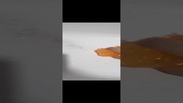 VID_20241202_182333.mp4
