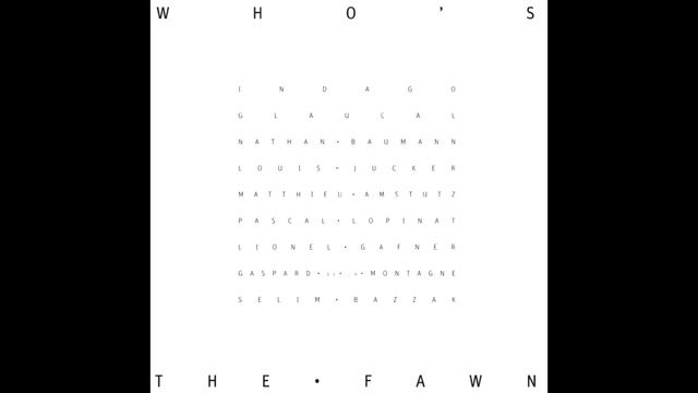 The Fawn - Guitar Works