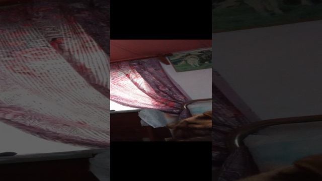 1000066081.mp4