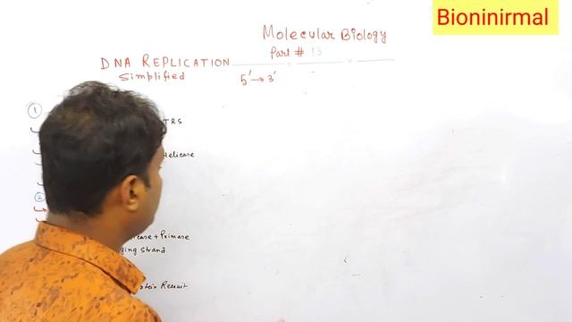 DNA Replication in Prokaryotes// Initiation,Elongation,Termination// Mol Bio part#14