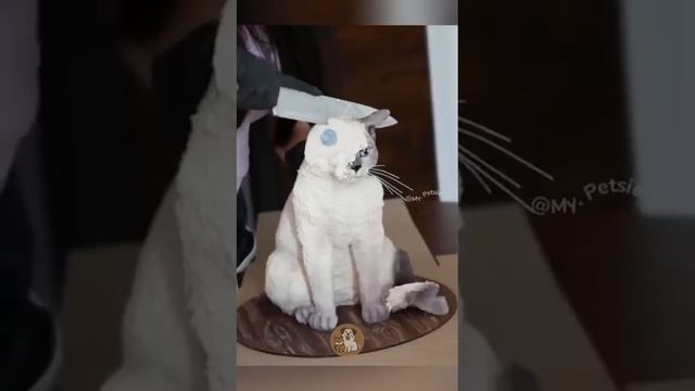 1000005247.mp4