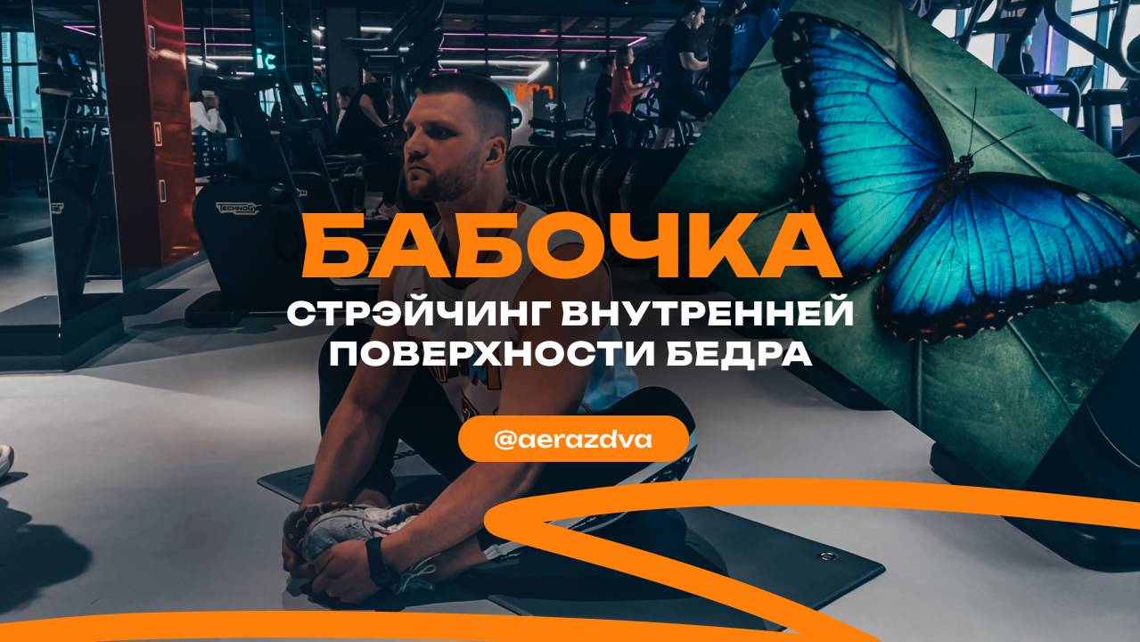 Бабочка