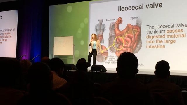 karen sanoviv digestion