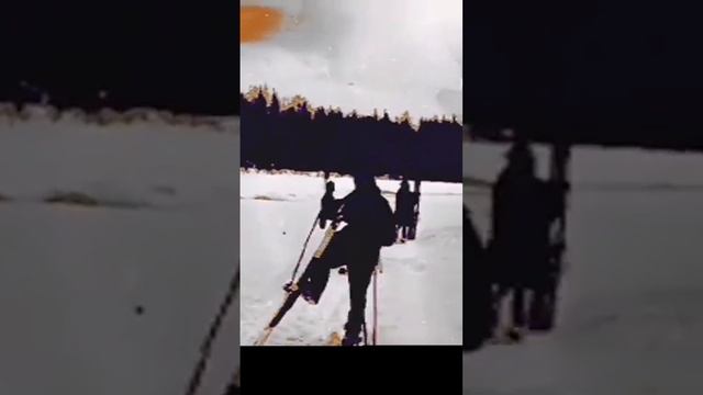 Из допроса Нямова