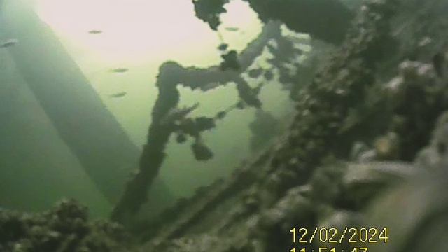 1000034237.mp4Волга гл.4м 02.12.2024г.