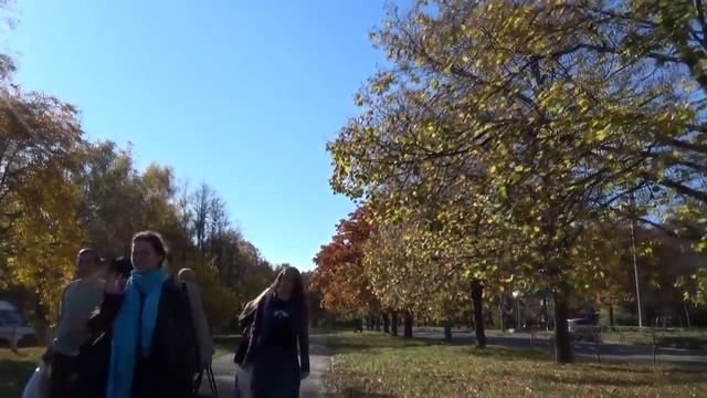 гости осенью