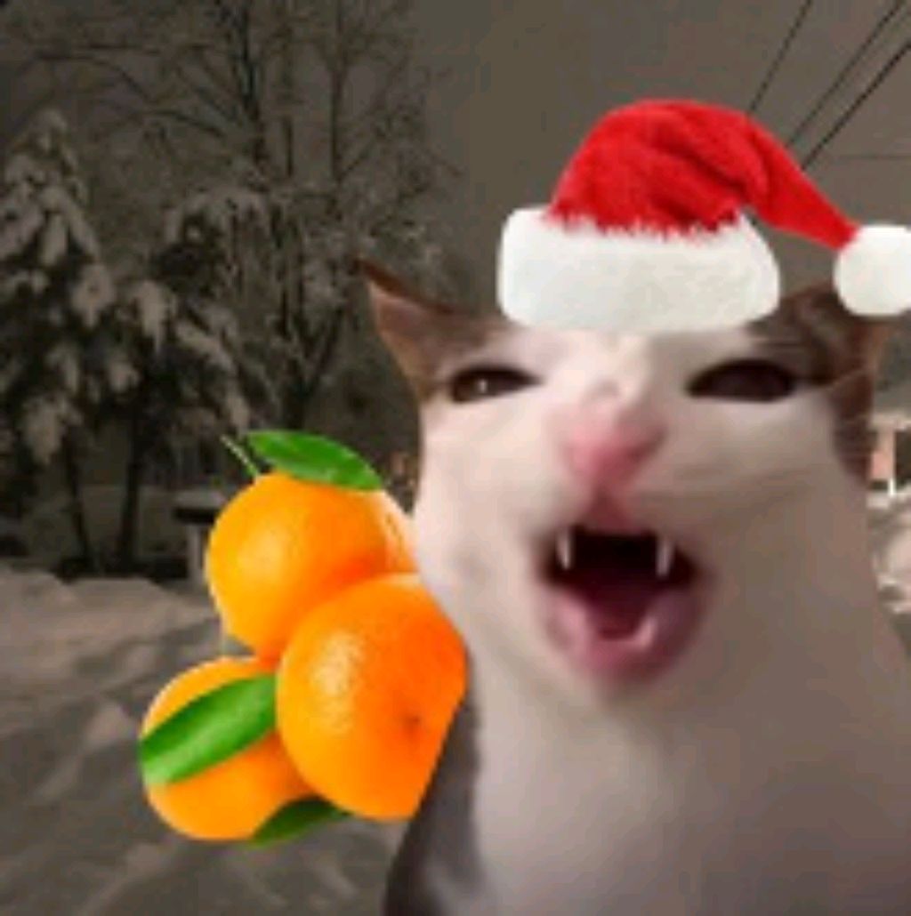 влог:)