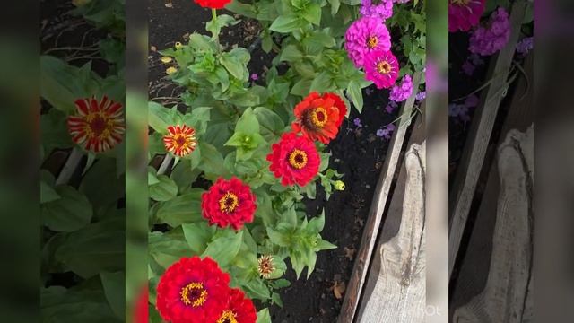 🌎Село Загарино Ульяновской области 73: Добрый вечер !/05.08.24 19:00