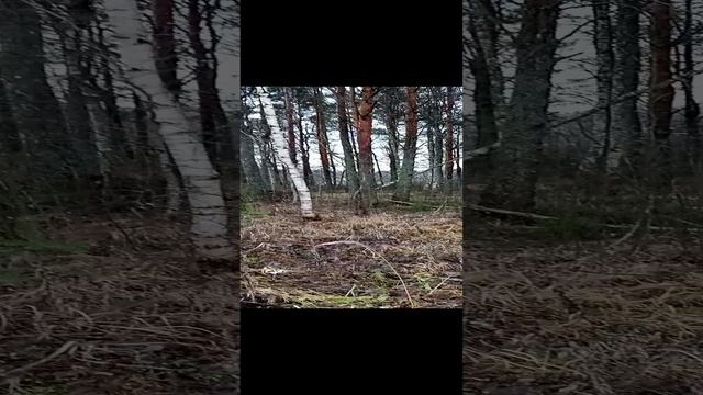 Не хрен нужен Евросоюз