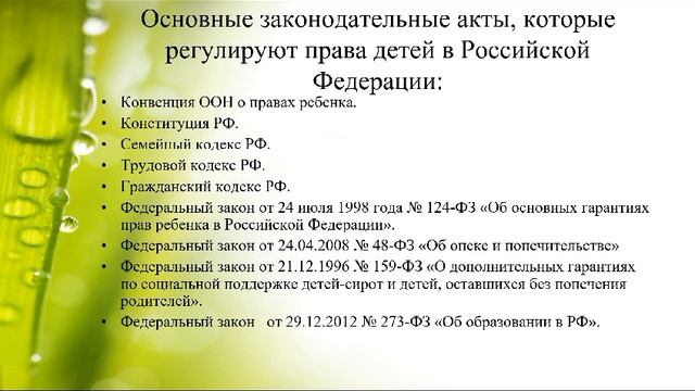 День правовой помощи детям