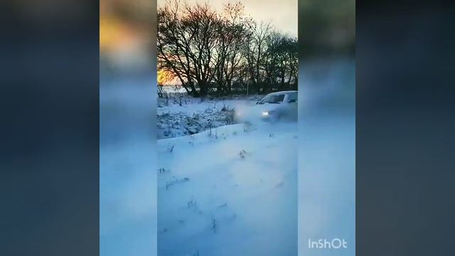 Двинарь