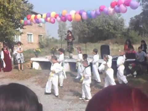 День села Чкаловского 2013 -показательное выступление тхэквандистов