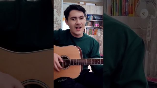 ЯБЛОНИ · КАВЕР на ГИТАРЕ (Ляпис Трубецкой) #гитара #guitar #guitarcover #кавер #ляпиструбецкой Z