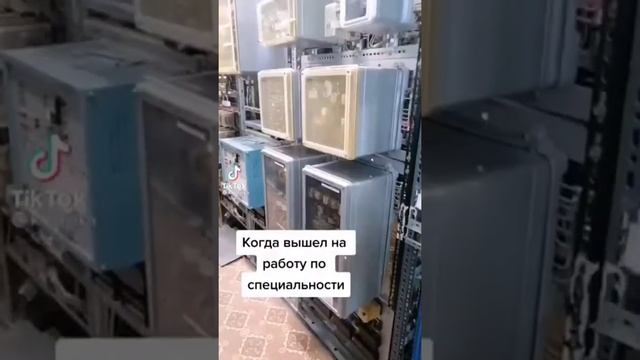 Работа по специальности