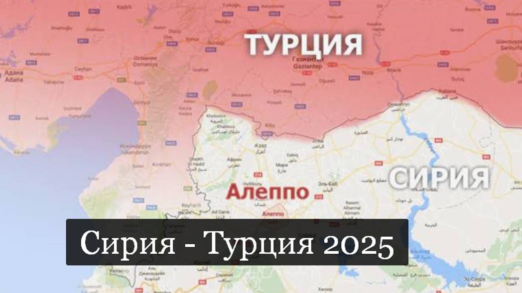 ТАРО #Аврора #гадание Сирия Турция 2025