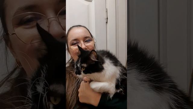 Моя неугомонна непоседа Запятая.